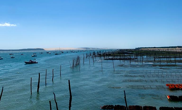 Cap Ferret vakantie Bassin d'Arcachon uitstapjes